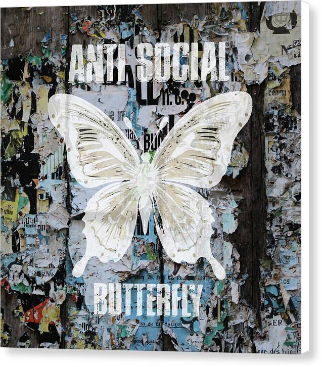 Anti-Social Butterfly 2 - Canvas Print